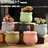 Vaso de Flor Suculenta Cerâmica Preço Especial Liquidação Esmaltado Tamanhos Grande e Pequeno Simples Pastoral Mesa Vasos de Barro Respirável Plantas Leede Estoque