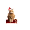 Colgante de Gato de Navidad Plano de Acrílico Transfronterizo Colgante para Coche Decoración de Coche Colgante para Mochila