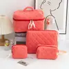 Bolsa de Cosméticos Estilo Coreano Estilo Ins Pequena Fresca Acolchoada Bolsa de Mão Feminina Bolsa de Artigos de Higiene Pessoal de Viagem Cosméticos