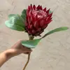 Flor de Emperador de flocado de alta simulación estilo europeo estilo nórdico decoración de interior de alta gama para el hogar paisaje de boda venta al por mayor de fábrica