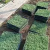Camas de Flores, Plantas Verdes y Arreglos Florales para Paisajismo de Patios, Diseño de Jardines con Plantas Resistentes, Renovación de Patios y Balcones de Villas