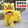 Leão do Sul Despertar Leão Dança do Leão Leão Crianças Foshan Adereços Duplos Cabeça de Leão de Lã Australiana Performance Plástico Conjunto Completo