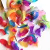 Plumas Pequeñas de Colores Macaron, Plumas Pequeñas de Ganso Flotantes, Decoración de Escenario para Eventos Festivales de Bodas, Materiales Hechos a Mano al por Mayor