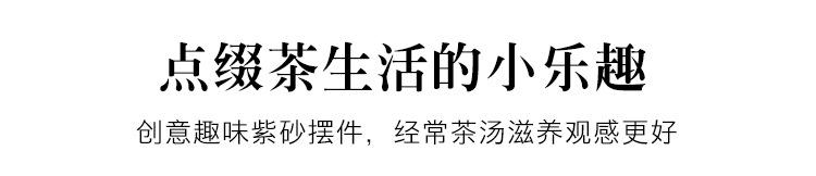 小乌龟20210131 (27)