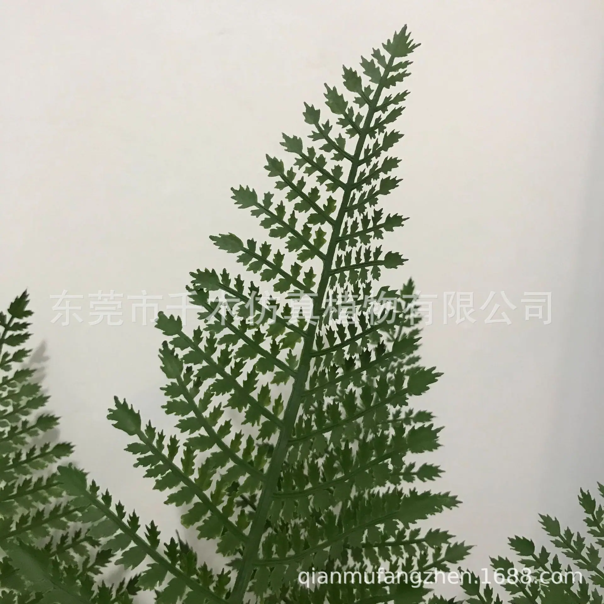 微信图片_202105151639122
