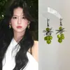Brincos de Cacho de Uva Verde de Verão com um Toque Fresco, Exclusivo e de Alto Padrão, Acessórios de Orelha de Temperamento Fresco Estilo Floresta