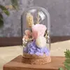 Paquete de Materiales DIY de Flores Secas Decoración de Cúpula de Cristal con Flores Preservadas Adorno Manualidad Infantil Regalo del Día de la Madre Team Building Salón