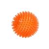 Pelota Chillona Resistente a Mordidas de TPR de Venta Caliente Transfronteriza, Juguete Elástico para Limpiar Dientes de Perro y Aliviar el Estrés, Suministros para Mascotas