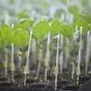 Clipes Coloridos para Enxertia de Mudas de Vegetais e Frutas de Estufa para Tomates e Pepinos, Não Destacáveis, Removíveis, Boa Elasticidade, Clipes de Enxertia de Silicone