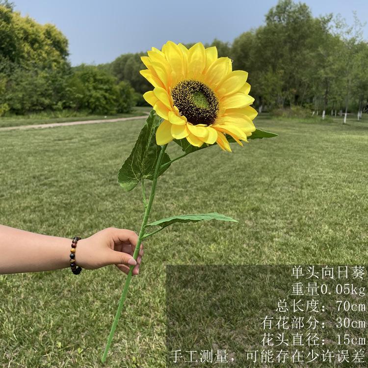 mmexport1625464000773_副本