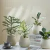Ins Jiuli Escandinavo Planta Verde Fragante en Maceta Florales Oficina Sala de Estar Escritorio Interior Adornos Purificar el Aire y Eliminar Formaldehído