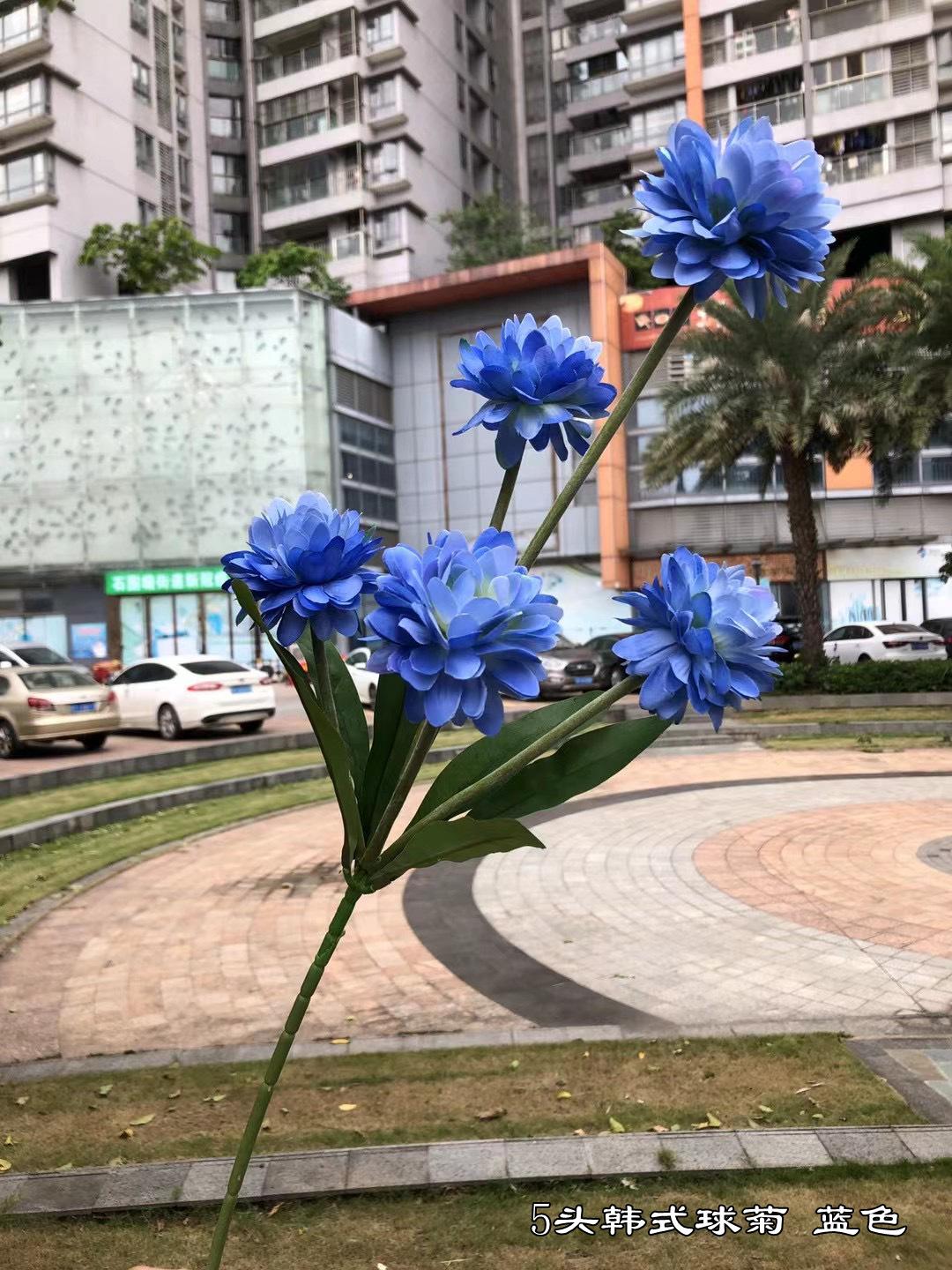 微信图片_20211024113657.jpg