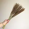 Pinha Flores Secas Artesanais Adereços de Fotografia Materiais Florais DIY Decorações para Sala de Estar Presentes de Natal