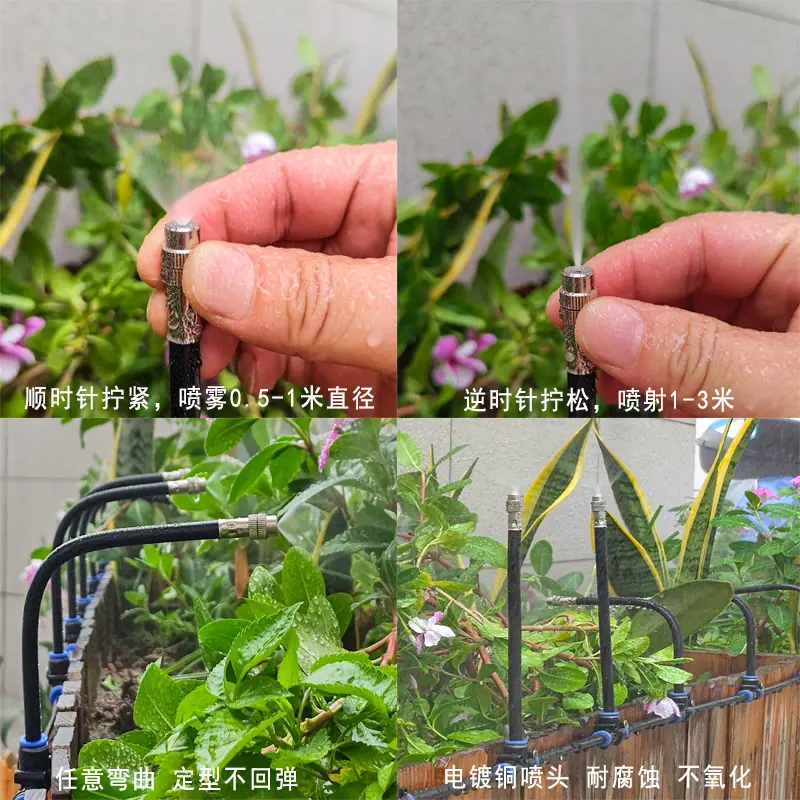 任意弯曲效果3