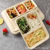 Lonchera para Estudiantes Caja de Empaque Desechable Multicompartimento Caja de Pulpa Biodegradable Ecológica Plato de Cena de Tres Compartimentos Cuatro Compartimentos Cinco Compartimentos Seis Compartimentos