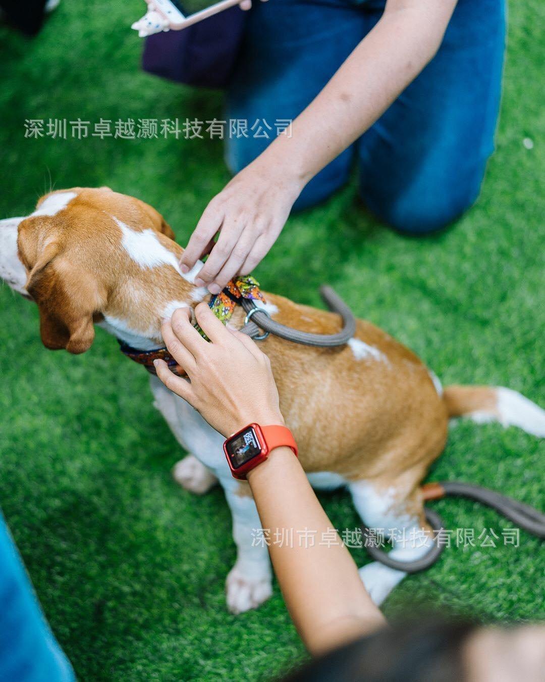 715uxJTn2dL._SL1350_