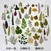 Libro de Espécimenes de Plantas Repujado Flores Secas Hojas Almacenamiento Colección Estudiante Hecho a Mano DIY Laminado Tipo Pegamento Álbum de Fotos Tela
