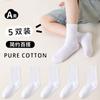 Calcetines de Algodón Puro para Niños, Calcetines de Longitud Media, Calcetines Deportivos de Algodón Peinado para Niños Mayores, Otoño Niños y Niñas, Clase A, Zhuji 7 Venta al por Mayor