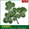Simulación de hojas de baniano, hojas de arce rojo, hojas de ginkgo, ramas falsas, hojas de otoño, ingeniería, decoración, plantas verdes, paisajismo, venta al por mayor