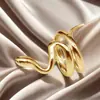 Anillo de Acero de Titanio con Diseño de Serpiente Exagerado Hip Hop Transfronterizo Nicho Hueco Acero Inoxidable Apertura Ajustable