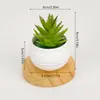 Plantas verdes artificiais criativas para atacado para mesa de escritório, mini suculentas decorativas, plantas artificiais, vasos de flores artificiais