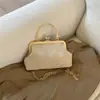 El Bolso de Concha de Moda de Este Año 2025 Otoño e Invierno Nuevo Bolso de Cadena Bolso de Mano de Nicho con Estampado de Leopardo Bolso de Hombro Cruzado para Mujer