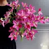 5 Flores Artificiales Tipo Lirio Bauhinia para Decoración de Salón de Bodas, Flores de Seda para Arreglo en Jarrón Alto, Flores Falsas Decorativas