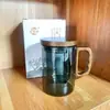 Taza de Vidrio Popular con Vista a la Montaña y al Río, Filtro Interior de Vidrio de Borosilicato Alto, Taza de Té de Gama Alta con Separación de Té y Agua