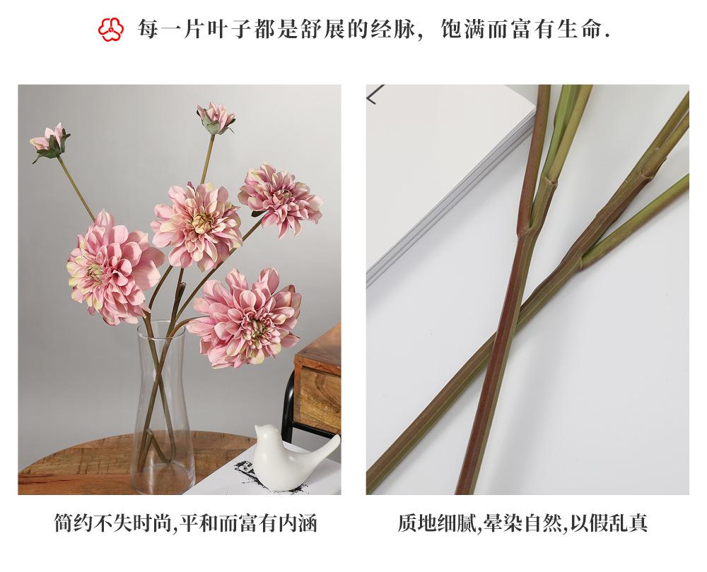 2-13.春秋3头大理花_09.jpg