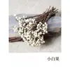 Flores Secas, Palitos de Canela, Rodajas de Limón, Flores Secas, Piñas Secadas al Aire, Flores Secas Mixtas, Ramo Fresco, Aromaterapia Bricolaje, Planta Leide