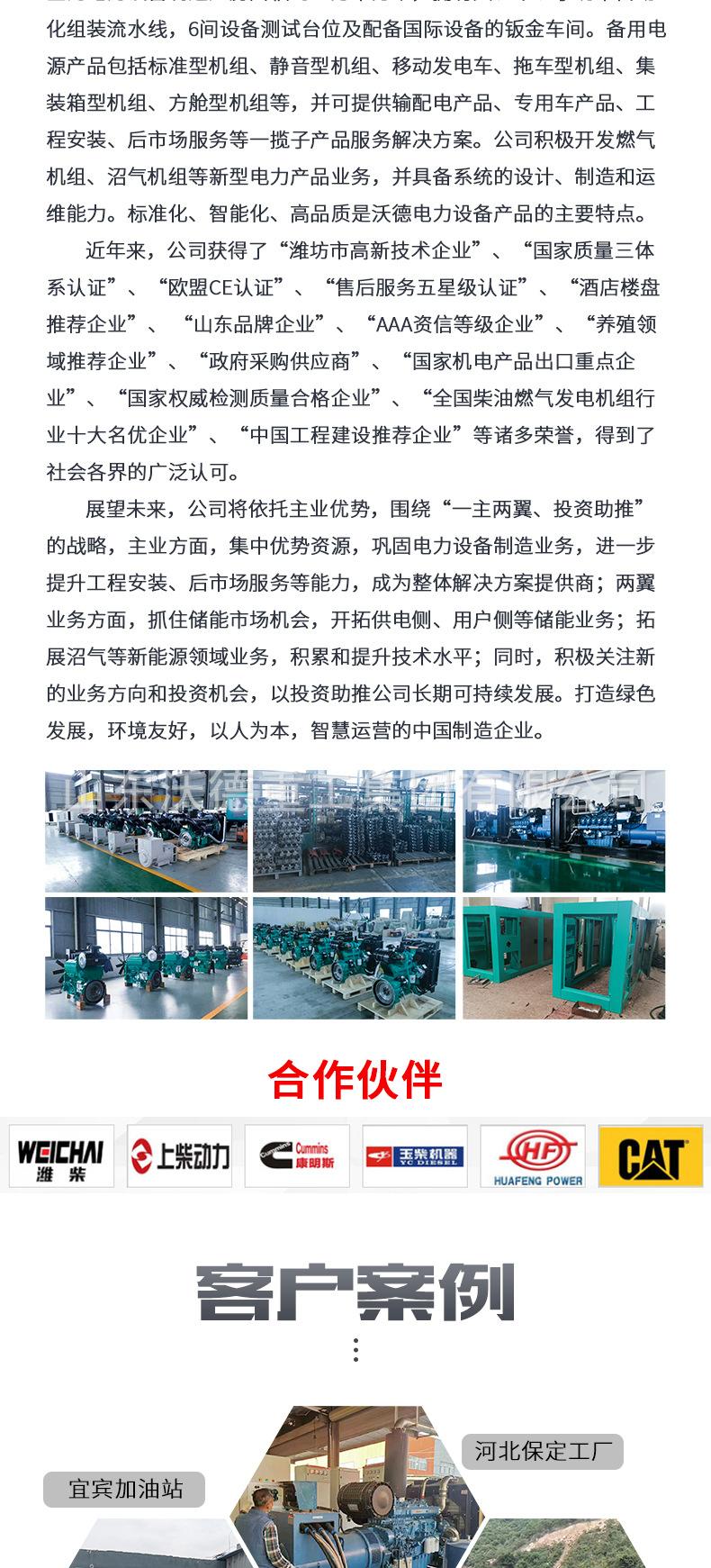 潍坊动力_09.jpg