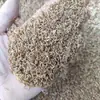 Tenébrios Vivos para Papagaios, Tartarugas, Escorpiões, Hamsters e Estorninhos; Ração de Tenébrio Vivo com Frete Grátis