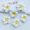 Resina diy acessórios para celular caso diy acessórios para o cabelo creme cola acessórios atacado copo de água sapato fivela rosto brilhante ovo flor grande