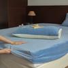 Lençol de Cama Veludo Leite Totalmente Fosco Outono e Inverno Aconchegante Protetor de Colchão Veludo Coral Peça Única Cobertura de Cama de Veludo Conjunto de Três Peças