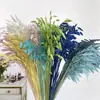 Pensamientos Pequeños Blanqueados, Flores Eternas, Flores Secas, Materiales de Flores para Manualidades, Flores Preservadas, Ramos, Flores Reales, Decoración del Hogar, Flores Hechas a Mano