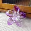 Europa y Estados Unidos clip de pelo de flor de huevo de colores transfronterizo clip de flor clip de tiburón de dama elegante accesorios para el cabello de vacaciones en la playa tocado