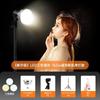 Divina menina lâmpada foto encher luz vídeo interior atrás do cabelo fotografia lâmpada âncora Live Light