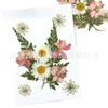 Pacote de material faça você mesmo para relevo de flores secas, celebridades da Internet, arte de unha facial, cola em relevo, família, atividade artesanal, material, bolsa de flores