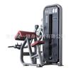 Equipamento de Força para Academia Unidade Governamental Licitação de Aquisição Equipamento de Fitness Supino Peito Agachamento de Pernas Pequeno Pássaro