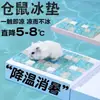 Esterilla Refrigerante para Mascotas Suministros para Hámsteres Esterilla de Hielo Refrigerante para Mascotas de Verano para Alivio del Calor y Disipación del Calor para Hámsteres Dorados