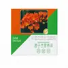 Fertilizante especializado para plantas Clivia, promovendo a floração em orquídeas e outras plantas verdes de vaso, adequado para jardinagem doméstica, solúvel em água