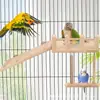 Escalera de Pasos para Loro, Poste Trepador, Escalera, Columpio, Plataforma de Hábitat para Pájaros, Estructura para Trepar de Hámster, Plataforma Elástica para Mascotas, Escalera de Madera