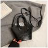 Bolsos Pequeños de Moda de Este Año para Mujer, Bolsos Cruzados Versátiles de Nueva Moda Primavera/Verano 2026, Bolsos Cubo de Mano