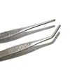 Pinzas de Acero Inoxidable 304 Cabeza Recta Codo Pinzas para Vendajes Anti-yodóforo Clip para Jardinería Paisajismo Equipo de Pesca Refinado Pinzas para Acuario