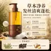 Champú Qingling Anticaída y Fortalecedor del Cabello con Fórmula Herbal de Hoja de Ciprés 500ml, Voluminizador y Suavizante, Unisex