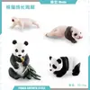 Juguete modelo de animal pequeño simulación ciclo de vida crecimiento rana tortuga pollo Montessori material didáctico preescolar venta al por mayor
