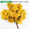 Folha de ginkgo varanda interna folha de árvore falsa galho de plástico engenharia paisagismo casamento decoração de flores falsas planta verde