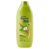 Champú Rejoice Cuidado Diario Doble Acción Anticaspa Control de Grasa Refrescante 170g 360g 750g Mayoreo