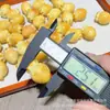 Nuevo Accessory DIY de Zanahoria a la Parrilla de Carbón de Nuez Marfil para Manualidades, Cuentas Espaciadoras para Pulseras, Colgante de Cuerda Trenzada, Accesorio Creativo