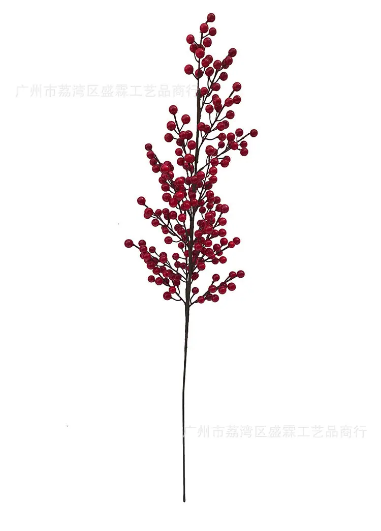 红果-(1)_07.jpg